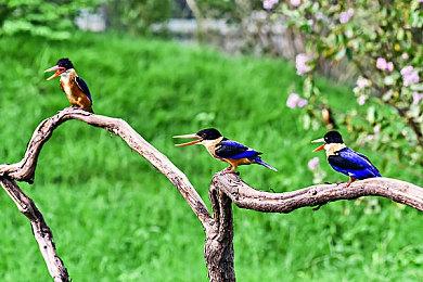 《孤岛惊魂5》次世代主机60fps补丁发布 下周末免费试玩