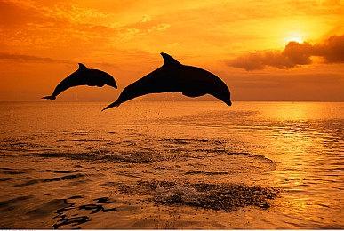 《模拟人生》对手《Life by You》抢先体验延期到6月