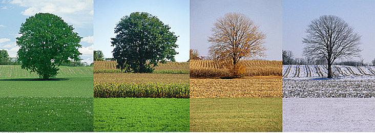 《黑神话：悟空》预售额超4亿元 预售销量达120万份